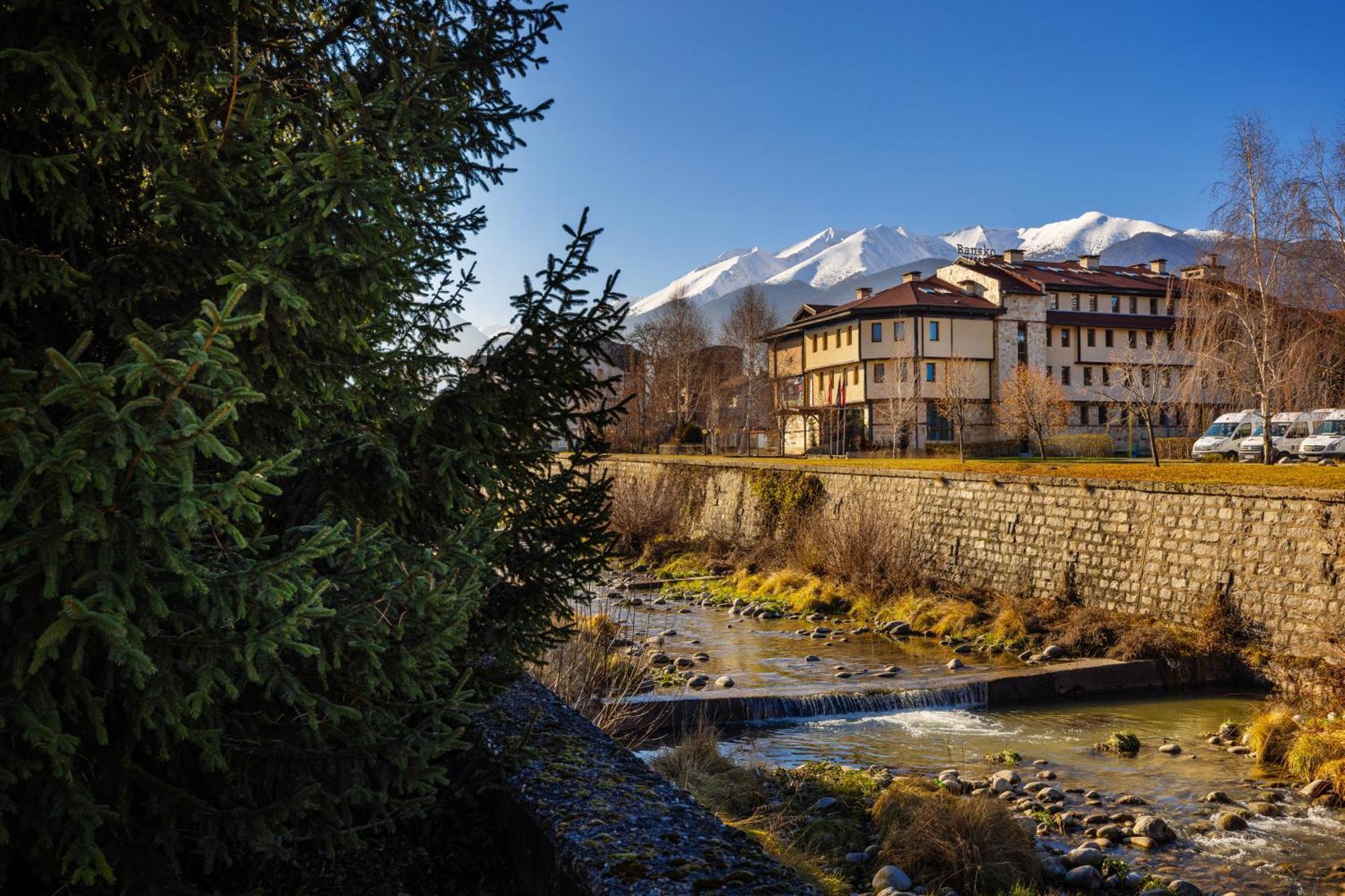 Coliving Bansko, The Social Hotel By Networking Premium Bagian luar foto